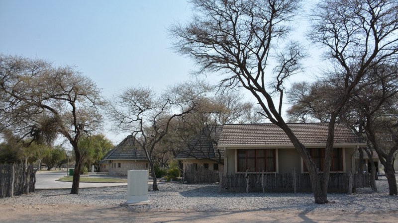 namibija-in-bocvana-2016-1927