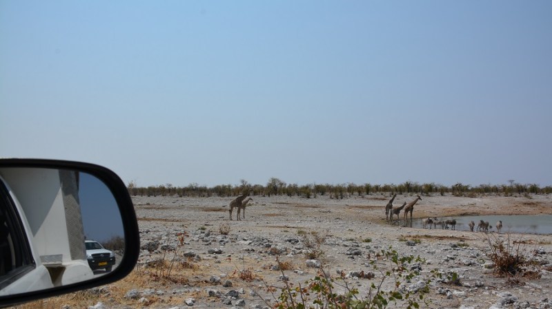 namibija-in-bocvana-2016-2030