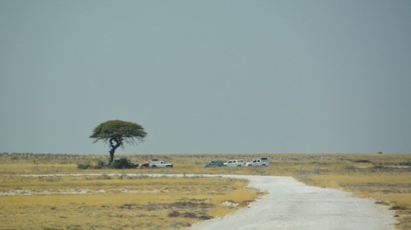 namibija-in-bocvana-2016-2072