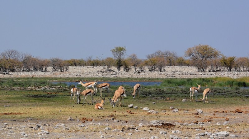 namibija-in-bocvana-2016-2202