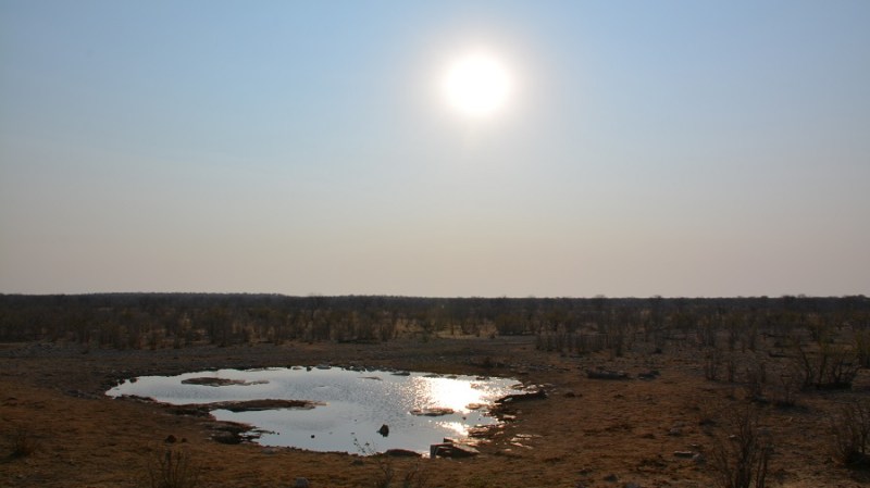 namibija-in-bocvana-2016-2225
