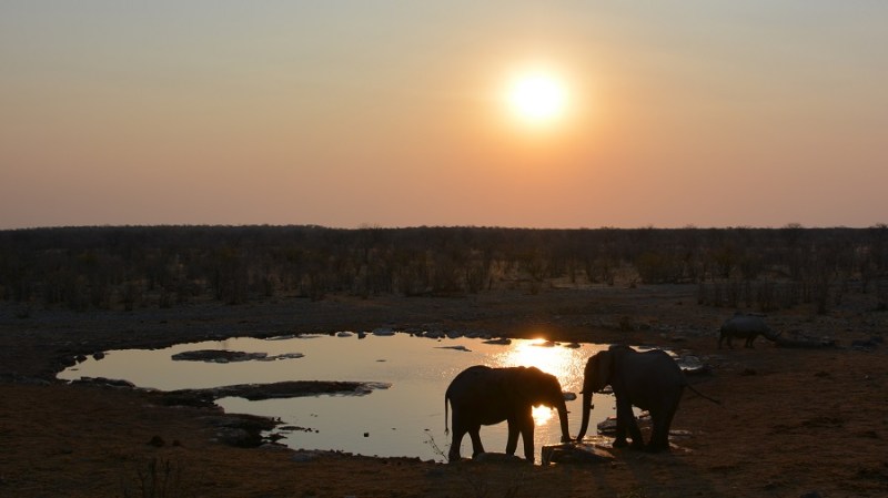 namibija-in-bocvana-2016-2282