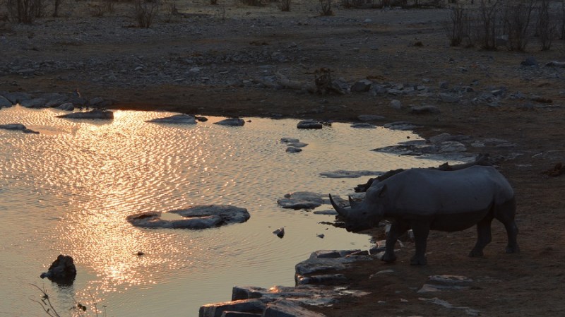 namibija-in-bocvana-2016-2291