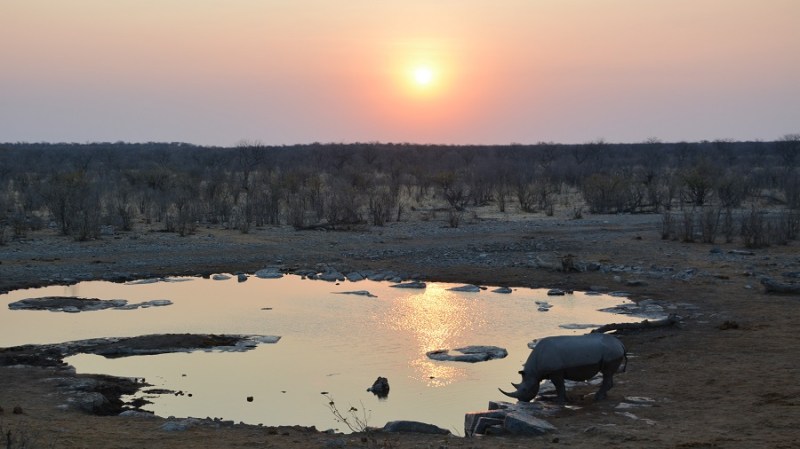 namibija-in-bocvana-2016-2298