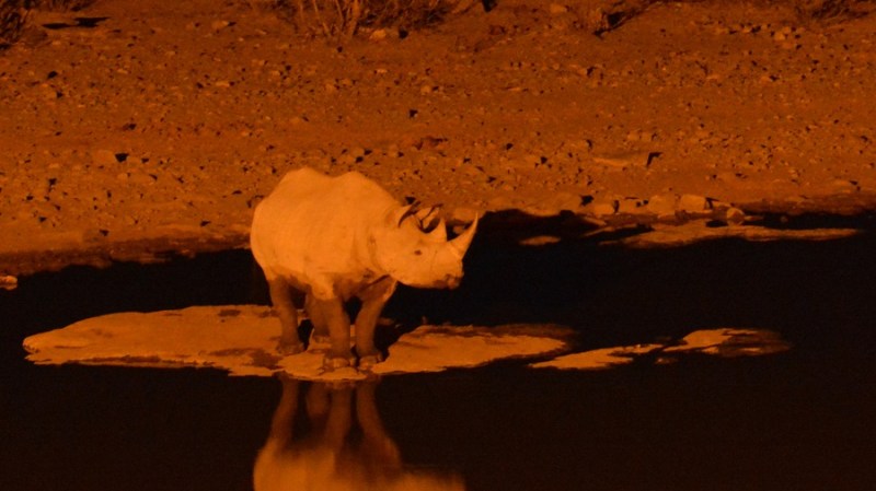 namibija-in-bocvana-2016-2348