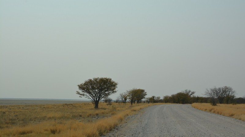 namibija-in-bocvana-2016-2378