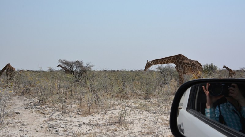 namibija-in-bocvana-2016-2545