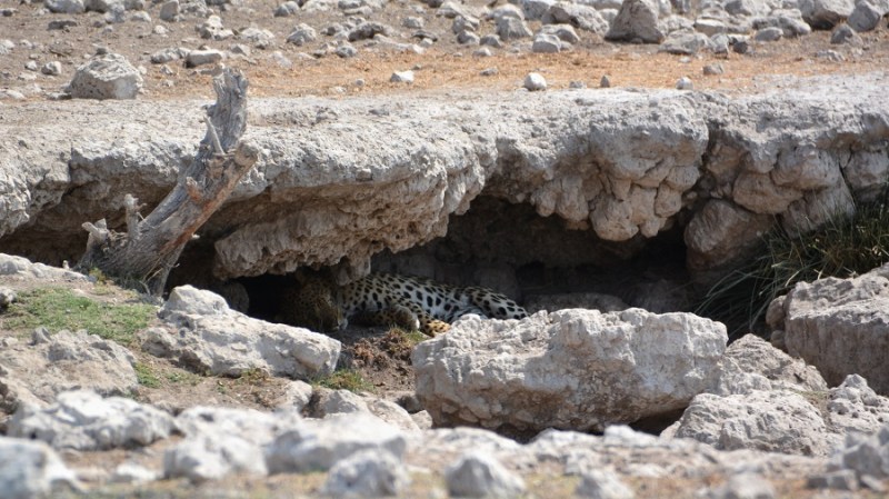 namibija-in-bocvana-2016-2551
