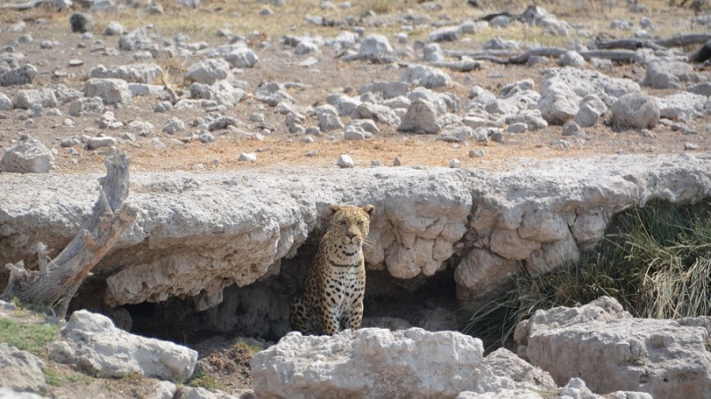 namibija-in-bocvana-2016-2566