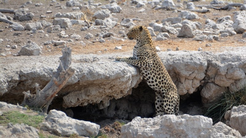 namibija-in-bocvana-2016-2572