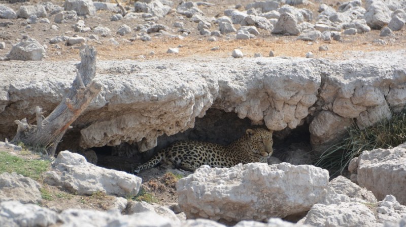 namibija-in-bocvana-2016-2573