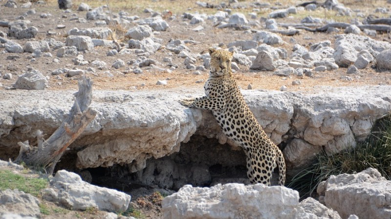 namibija-in-bocvana-2016-2591