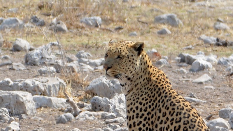 namibija-in-bocvana-2016-2594