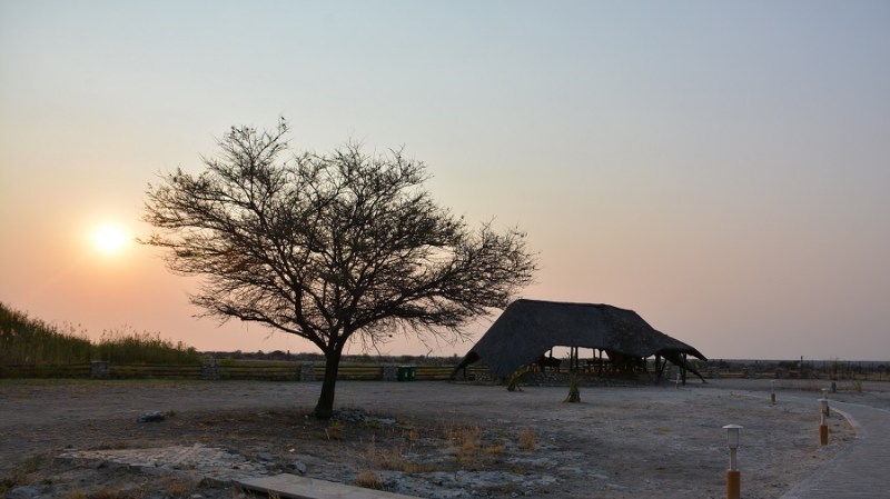namibija-in-bocvana-2016-2650