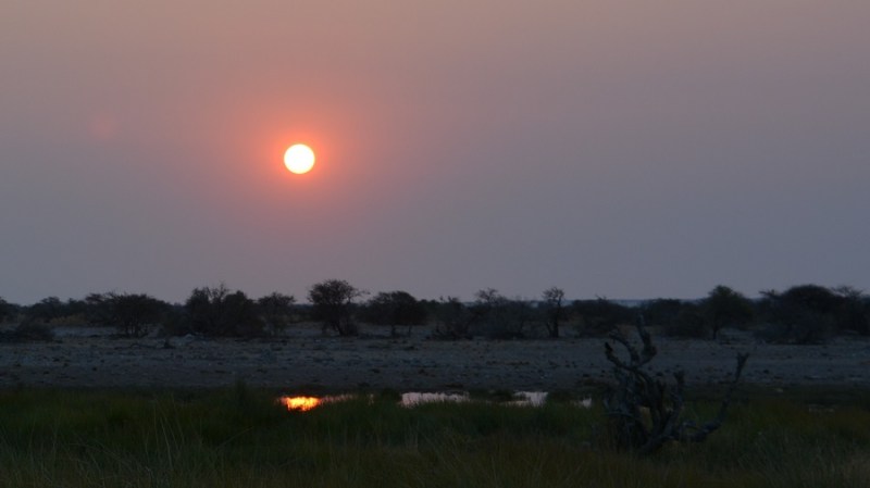 namibija-in-bocvana-2016-2656
