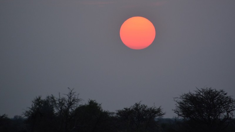namibija-in-bocvana-2016-2663
