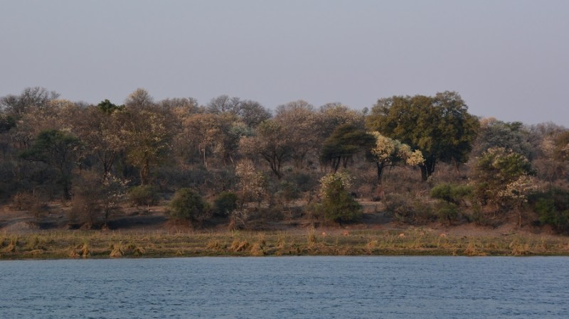 namibija-in-bocvana-2016-2705