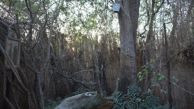 namibija-in-bocvana-2016-2711