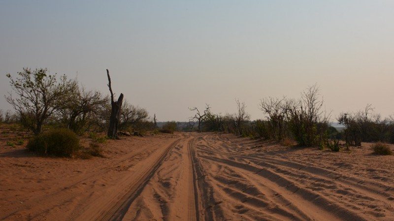 namibija-in-bocvana-2016-2773