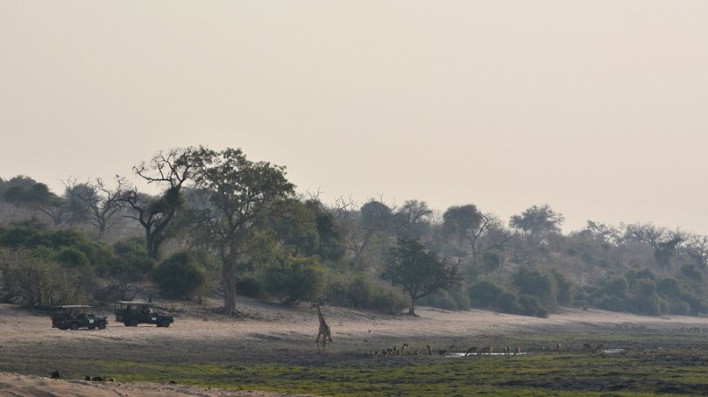 namibija-in-bocvana-2016-2792