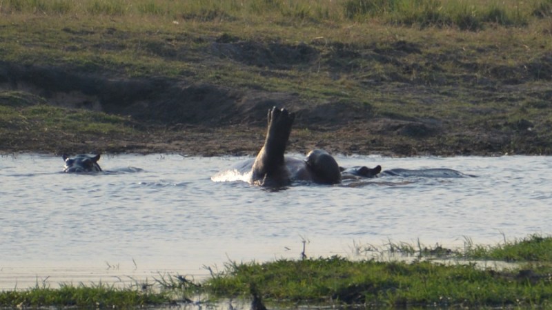 namibija-in-bocvana-2016-2795