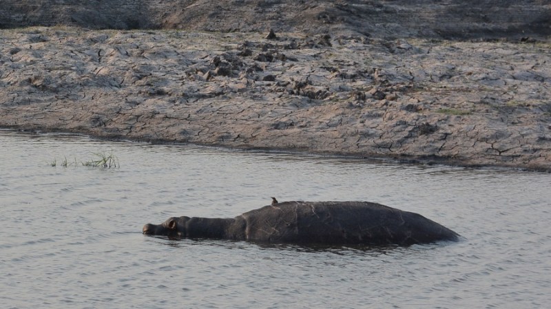 namibija-in-bocvana-2016-2811