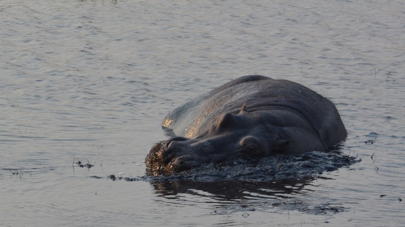namibija-in-bocvana-2016-2817