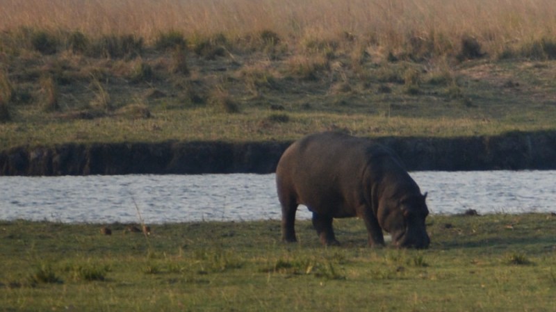 namibija-in-bocvana-2016-2847