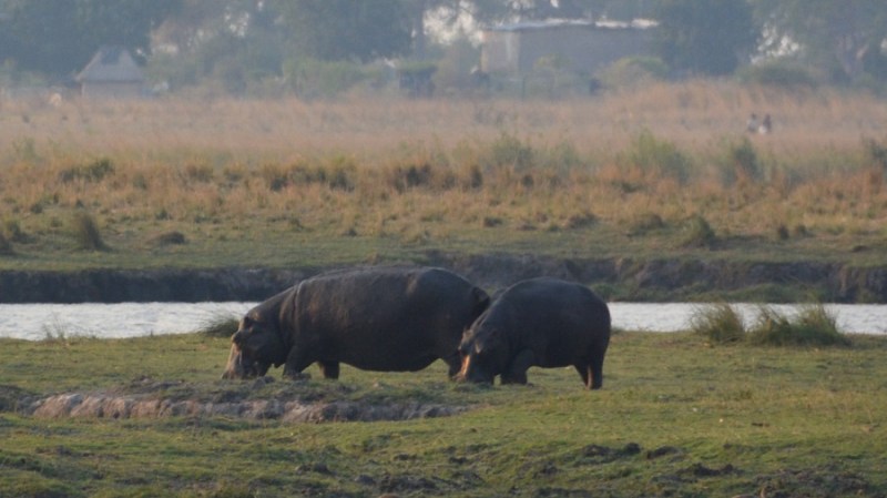 namibija-in-bocvana-2016-2862