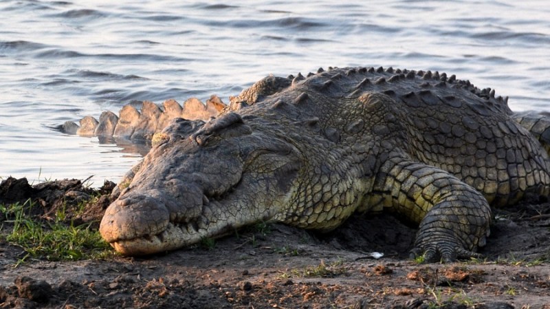 namibija-in-bocvana-2016-2866