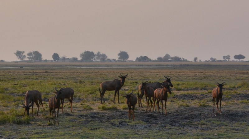 namibija-in-bocvana-2016-2872