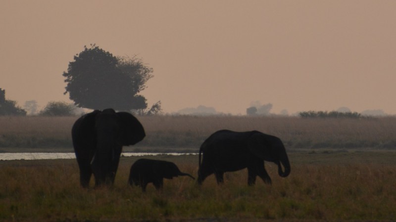 namibija-in-bocvana-2016-2877