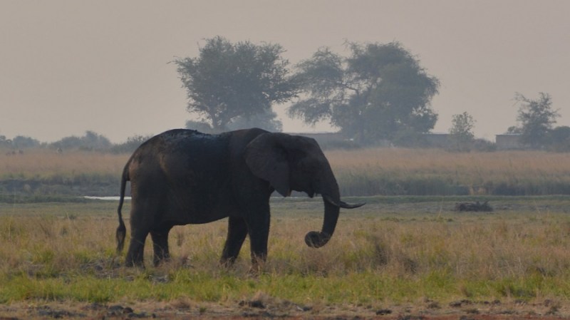 namibija-in-bocvana-2016-2884