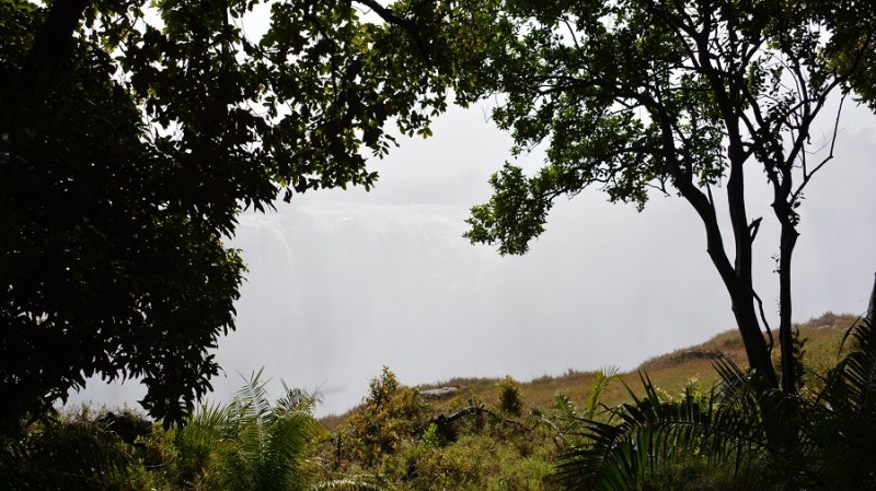 namibija-in-bocvana-2016-3031