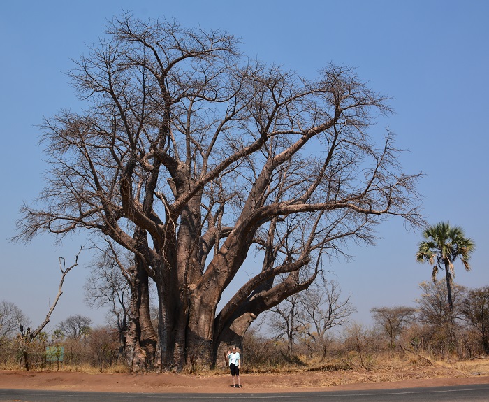 namibija-in-bocvana-2016-3132