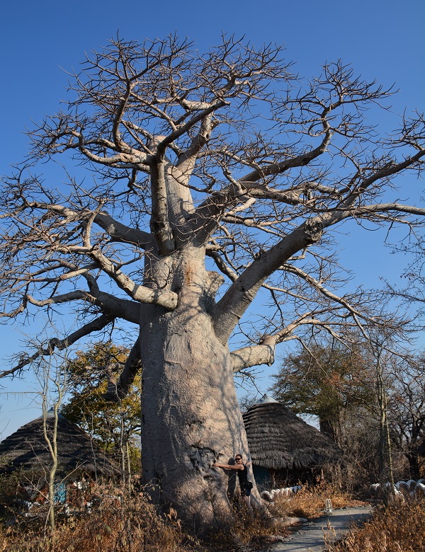 namibija-in-bocvana-2016-3173