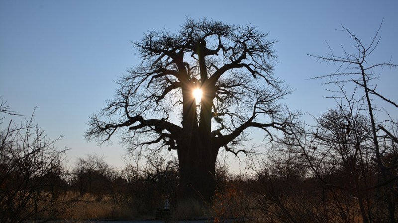 namibija-in-bocvana-2016-3191