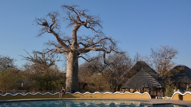 namibija-in-bocvana-2016-3201