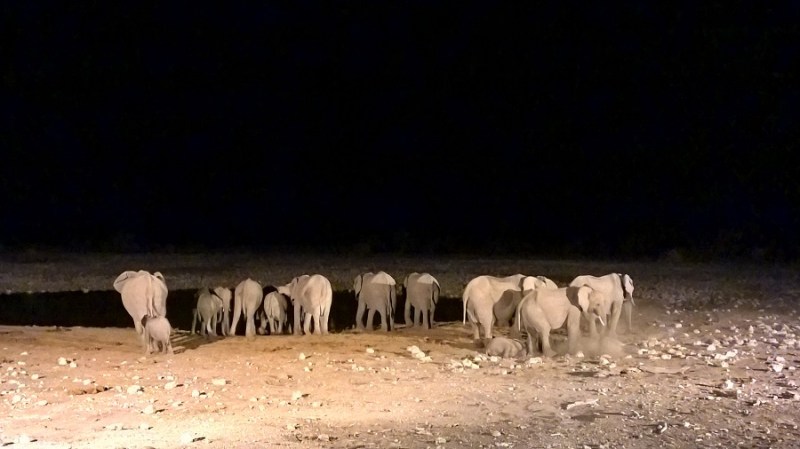 nokia_namibija-in-bocvana-2016-175