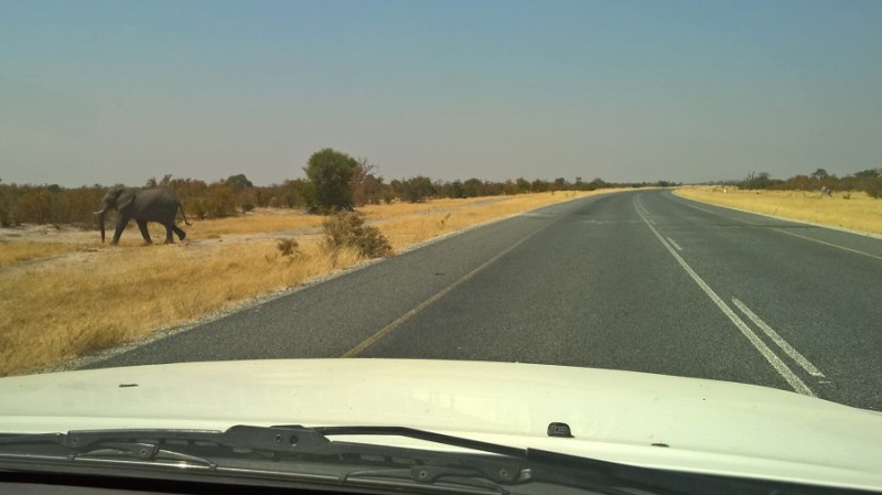 nokia_namibija-in-bocvana-2016-337