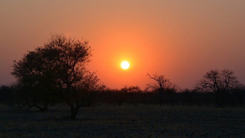 namibija-in-bocvana-2016-3242