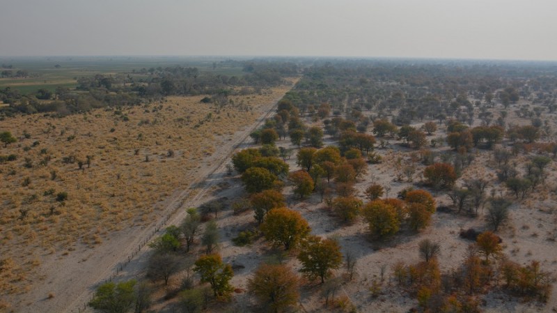 namibija-in-bocvana-2016-3508