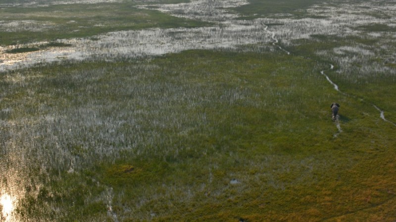 namibija-in-bocvana-2016-3527