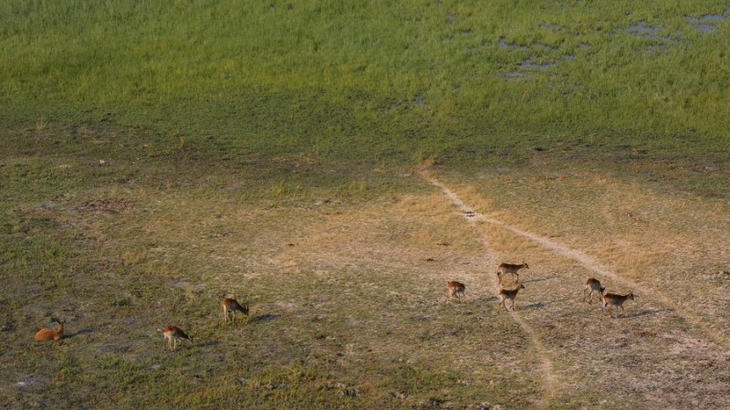 namibija-in-bocvana-2016-3535
