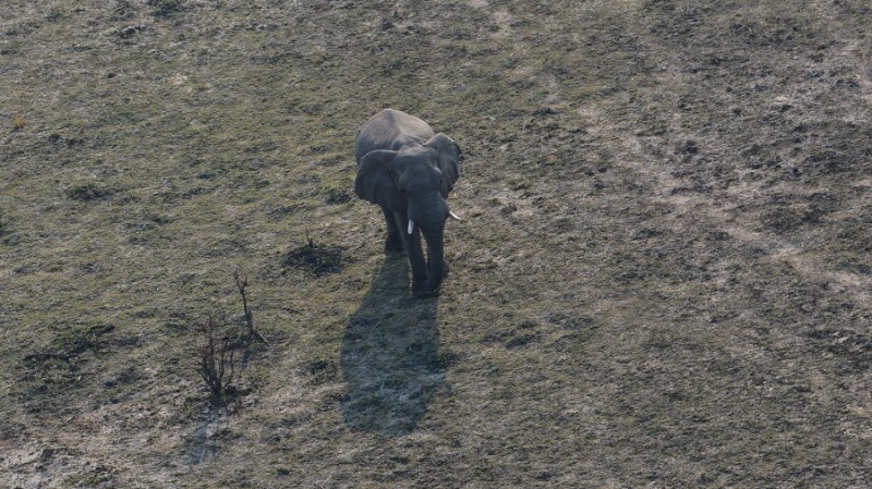 namibija-in-bocvana-2016-3568