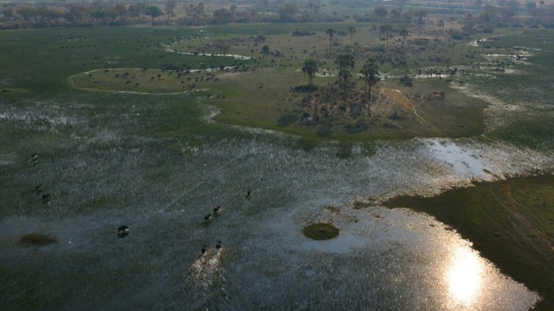 namibija-in-bocvana-2016-3577