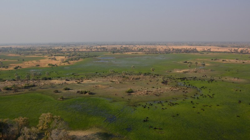 namibija-in-bocvana-2016-3585