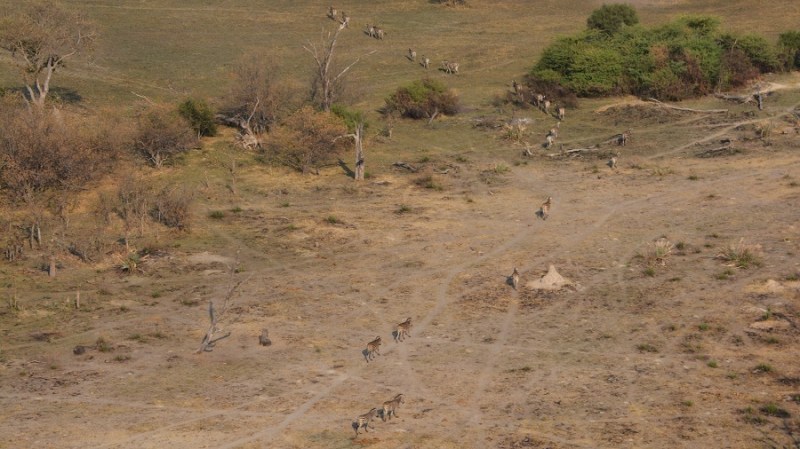namibija-in-bocvana-2016-3587