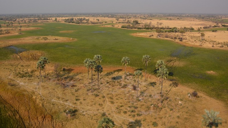 namibija-in-bocvana-2016-3614