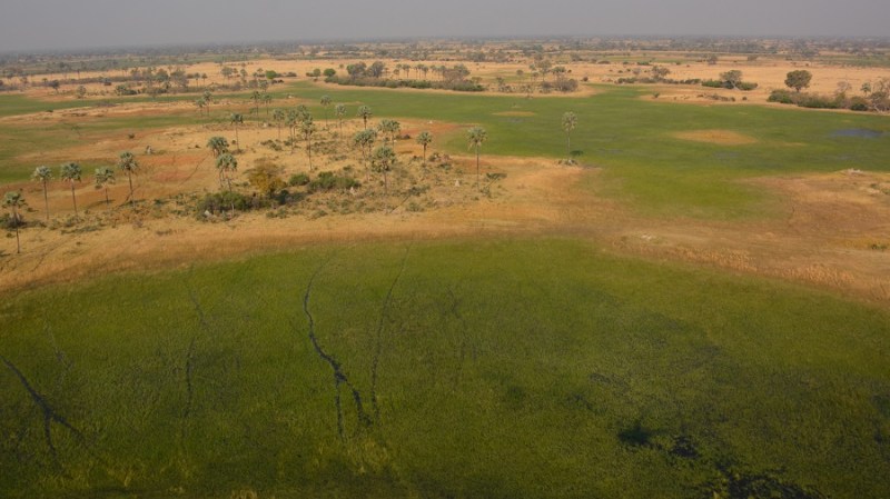 namibija-in-bocvana-2016-3618